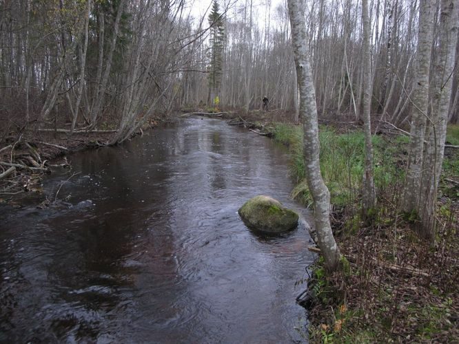 Maakond: Järvamaa Veekogu nimi: Esna jõgi Pildistamise aeg: 24. oktoober 2012 Pildistaja: H. Timm Pildistamise koht: Tartu - Tallinna mnt., 300 m vv Veekogude registri viide: https://register.keskkonnaportaal.ee/register/body-of-water/8380230