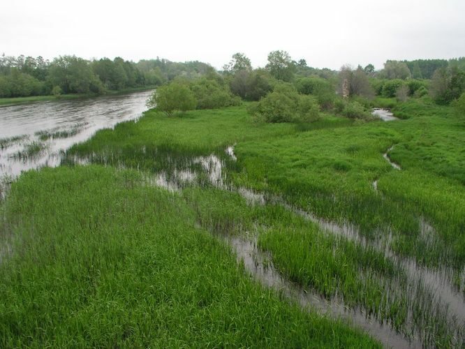 Maakond: Läänemaa Veekogu nimi: Kasari jõgi Pildistamise aeg: 4. juuni 2005 Pildistaja: H. Timm Pildistamise koht: teadmata Veekogude registri viide: https://register.keskkonnaportaal.ee/register/body-of-water/8380509