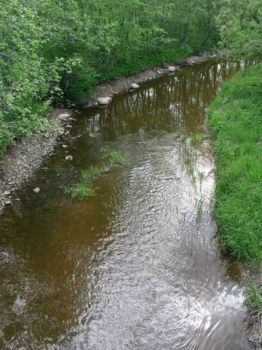 Maakond: Jõgevamaa Veekogu nimi: Mustvee jõgi Pildistamise aeg: 2. juuni 2004 Pildistaja: H. Timm Pildistamise koht: Mustvee Veekogude registri viide: https://register.keskkonnaportaal.ee/register/body-of-water/8380366