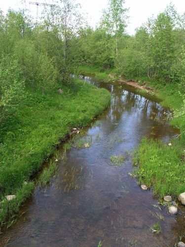 Maakond: Võrumaa Veekogu nimi: Mustvee jõgi Pildistamise aeg: 2. juuni 2004 Pildistaja: H. Timm Pildistamise koht: Mustvee Veekogude registri viide: https://register.keskkonnaportaal.ee/register/body-of-water/8380366