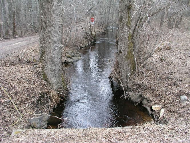 Maakond: Läänemaa Veekogu nimi: Veskijõgi Pildistamise aeg: 19. aprill 2006 Pildistaja: H. Timm Pildistamise koht: Vaisi Veekogude registri viide: https://register.keskkonnaportaal.ee/register/body-of-water/8378741