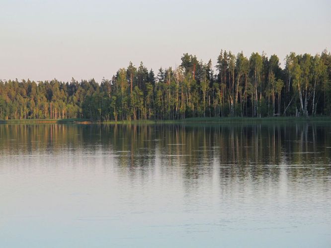 Maakond: Valgamaa Veekogu nimi: Aheru järv Pildistamise aeg: august 2011 Pildistaja: H. Timm Pildistamise koht: Oore Veekogude registri viide: https://register.keskkonnaportaal.ee/register/body-of-water/8378224