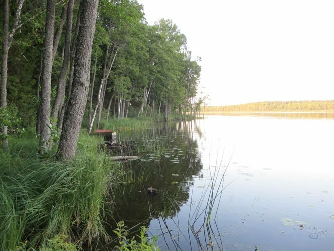 Maakond: Valgamaa Veekogu nimi: Aheru järv Pildistamise aeg: august 2011 Pildistaja: H. Timm Pildistamise koht: Oore Veekogude registri viide: https://register.keskkonnaportaal.ee/register/body-of-water/8378224