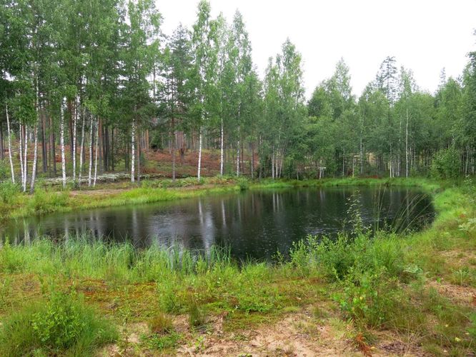 Maakond: Põlvamaa Veekogu nimi: Poogandi järv Pildistamise aeg: 2. august 2013 Pildistaja: H. Timm Pildistamise koht: laskeraja rattarajal Veekogude registri viide: https://register.keskkonnaportaal.ee/register/body-of-water/8967443