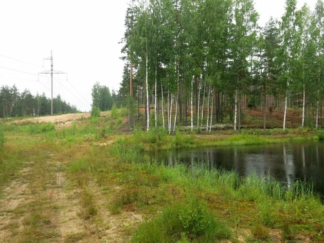 Maakond: Põlvamaa Veekogu nimi: Poogandi järv Pildistamise aeg: 2. august 2013 Pildistaja: H. Timm Pildistamise koht: laskeraja rattarajal Veekogude registri viide: https://register.keskkonnaportaal.ee/register/body-of-water/8967443