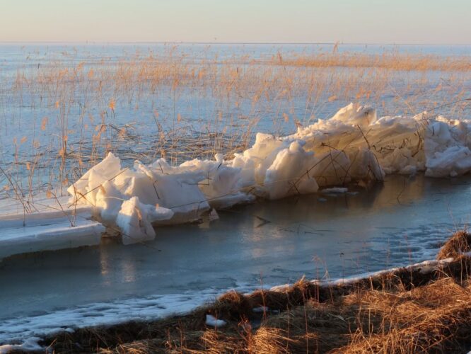 Maakond: Tartumaa
Veekogu nimi: Võrtsjärv
Pildistamise aeg: 16. märts 2022
Pildistaja: H. Timm
Pildistamise koht: Petseri sauna juures
Veekogude registri viide:    https://register.keskkonnaportaal.ee/register/body-of-water/8378308