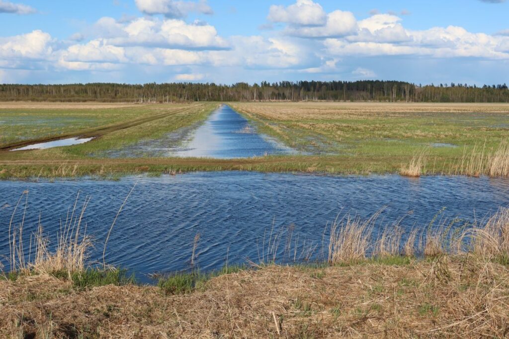 Maakond: Tartumaa Veekogu nimi: Valguta polder Pildistamise aeg: 8. mai 2022 Pildistaja: H. Timm Pildistamise koht: W→E Asimuut: E