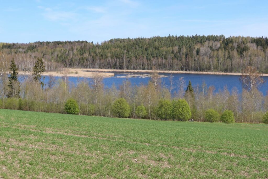 Maakond: Jõgevamaa Veekogu nimi: Kaarepere Pikkjärv Pildistamise aeg: 10. mai 2022 Pildistaja: H. Timm Pildistamise koht: SW→NE Asimuut: NE Veekogude registri viide: https://register.keskkonnaportaal.ee/register/body-of-water/8378279