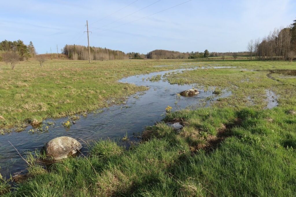 Maakond: Lääne-Virumaa Veekogu nimi: Soolikaoja ülemjooks (Jupri oja) Pildistamise aeg: 10. mai 2022 Pildistaja: H. Timm Pildistamise koht: teadmata