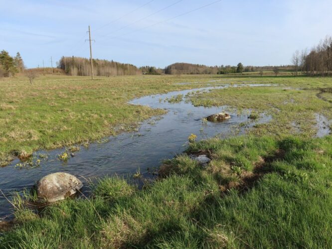 Maakond: Lääne-Virumaa Veekogu nimi: Soolikaoja ülemjooks (Jupri oja) Pildistamise aeg: 10. mai 2022 Pildistaja: H. Timm Pildistamise koht: teadmata