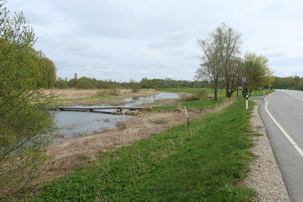 Maakond: Viljandimaa Veekogu nimi: Tänassilma jõgi Pildistamise aeg: 14. mai 2022 Pildistaja: H. Timm Pildistamise koht: Tänassilma Asimuut: NE Veekogude registri viide: https://register.keskkonnaportaal.ee/register/body-of-water/8380203