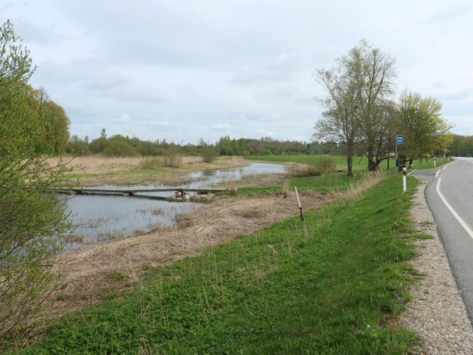 Maakond: Viljandimaa Veekogu nimi: Tänassilma jõgi Pildistamise aeg: 14. mai 2022 Pildistaja: H. Timm Pildistamise koht: Tänassilma Asimuut: NE Veekogude registri viide: https://register.keskkonnaportaal.ee/register/body-of-water/8380203