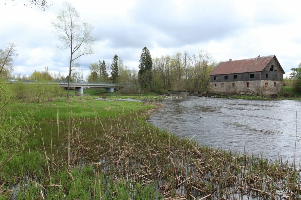 Maakond: Pärnumaa Veekogu nimi: Pärnu jõgi Pildistamise aeg: 14. mai 2022 Pildistaja: H. Timm Pildistamise koht: Suurejõe Asimuut: SE Veekogude registri viide: https://register.keskkonnaportaal.ee/register/body-of-water/8380103