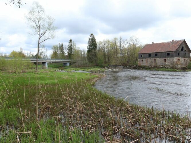 Maakond: Pärnumaa Veekogu nimi: Pärnu jõgi Pildistamise aeg: 14. mai 2022 Pildistaja: H. Timm Pildistamise koht: Suurejõe Asimuut: SE Veekogude registri viide: https://register.keskkonnaportaal.ee/register/body-of-water/8380103