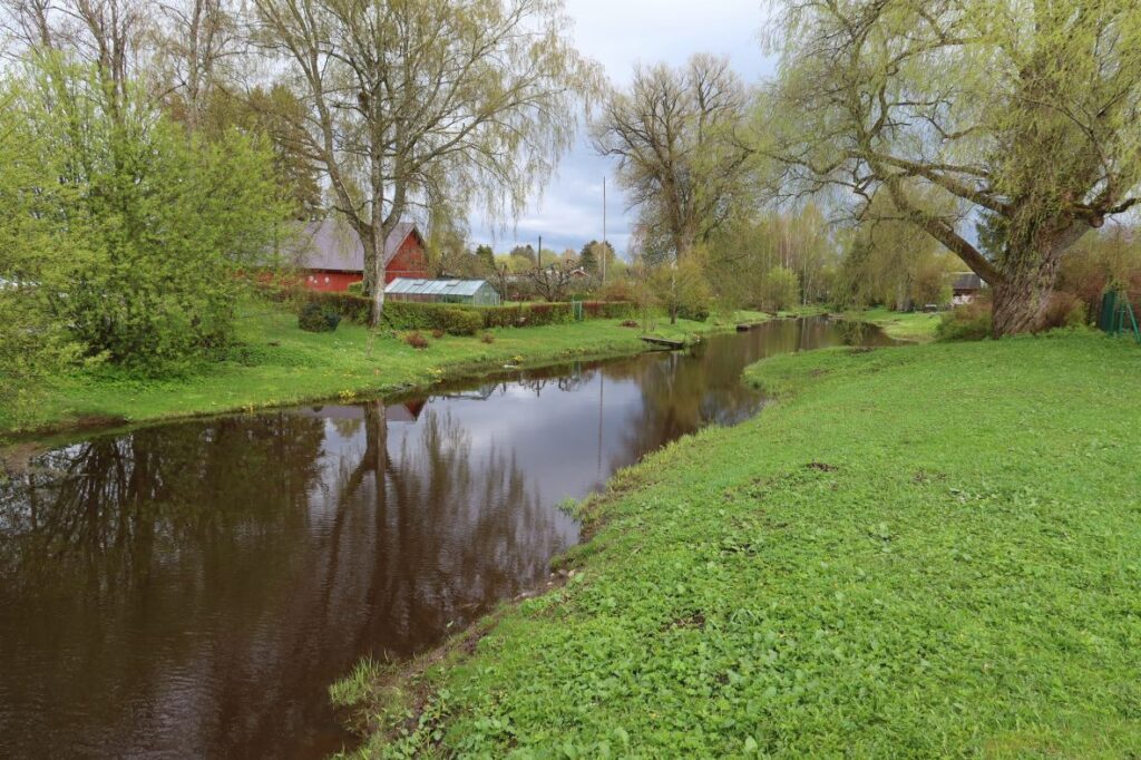 Maakond: Raplamaa Veekogu nimi: Vigala jõgi Pildistamise aeg: 15. mai 2022 Pildistaja: H. Timm Pildistamise koht: Rapla, Aasa tn Asimuut: SE Veekogude registri viide: https://register.keskkonnaportaal.ee/register/body-of-water/8380095