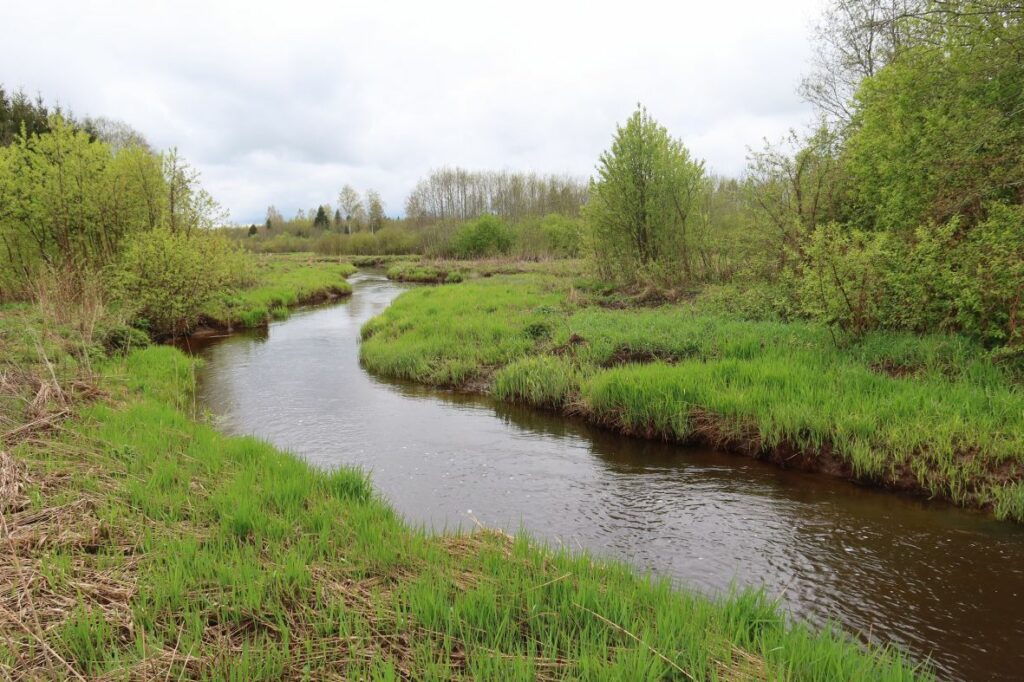 Maakond: Raplamaa Veekogu nimi: Vigala jõgi Pildistamise aeg: 15. mai 2022 Pildistaja: H. Timm Pildistamise koht: Parila Asimuut: S Veekogude registri viide: https://register.keskkonnaportaal.ee/register/body-of-water/8380095