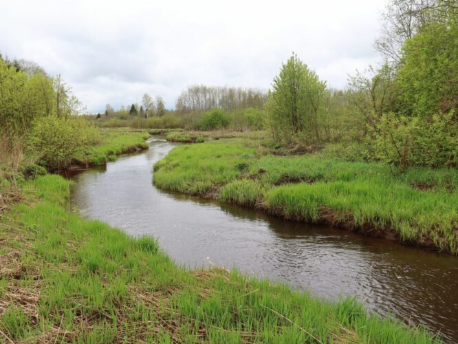 Maakond: Raplamaa Veekogu nimi: Vigala jõgi Pildistamise aeg: 15. mai 2022 Pildistaja: H. Timm Pildistamise koht: Parila Asimuut: S Veekogude registri viide: https://register.keskkonnaportaal.ee/register/body-of-water/8380095