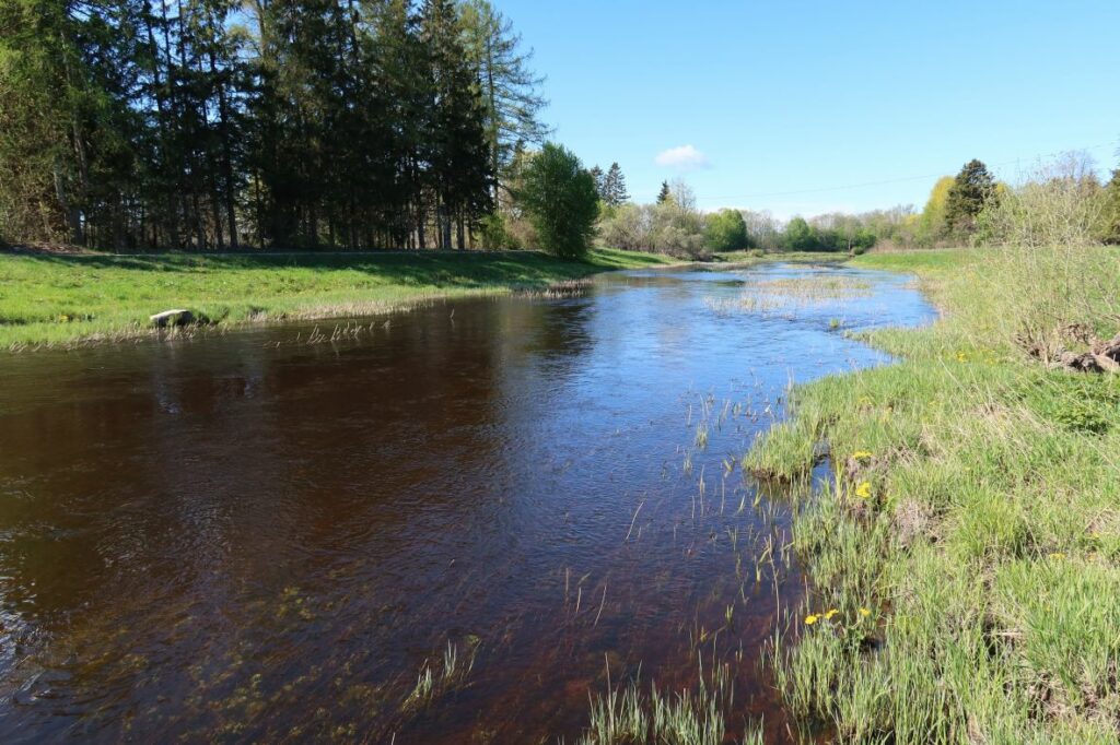 Maakond: Raplamaa Veekogu nimi: Velise jõgi Pildistamise aeg: 15. mai 2022 Pildistaja: H. Timm Pildistamise koht: Vängla Asimuut: WSW Veekogude registri viide: https://register.keskkonnaportaal.ee/register/body-of-water/8380152