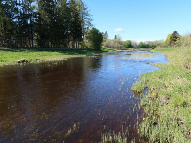 Maakond: Raplamaa Veekogu nimi: Velise jõgi Pildistamise aeg: 15. mai 2022 Pildistaja: H. Timm Pildistamise koht: Vängla Asimuut: WSW Veekogude registri viide: https://register.keskkonnaportaal.ee/register/body-of-water/8380152