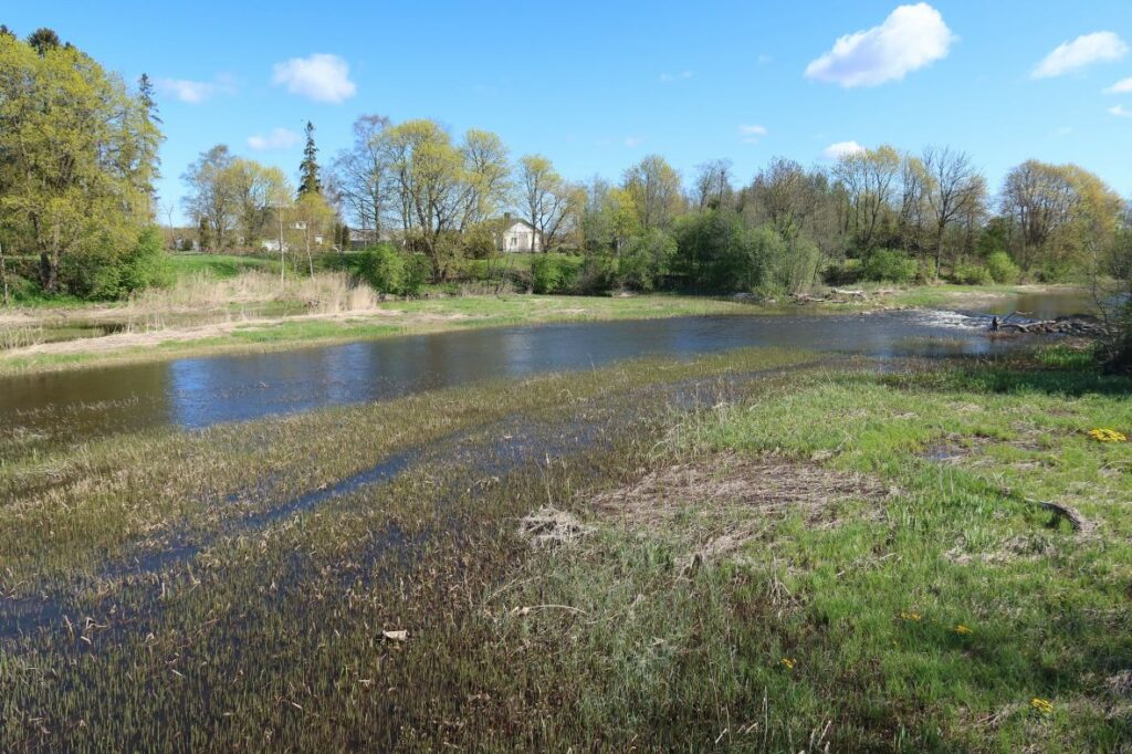 Maakond: Raplamaa Veekogu nimi: Kasari jõgi Pildistamise aeg: 15. mai 2022 Pildistaja: H. Timm Pildistamise koht: Teenuse Veekogude registri viide: https://register.keskkonnaportaal.ee/register/body-of-water/8380509