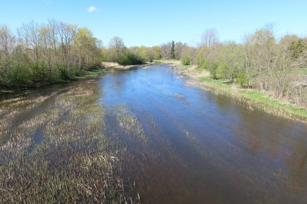 Maakond: Raplamaa Veekogu nimi: Kasari jõgi Pildistamise aeg: 15. mai 2022 Pildistaja: H. Timm Pildistamise koht: Teenuse Asimuut: WSW Veekogude registri viide: https://register.keskkonnaportaal.ee/register/body-of-water/8380509