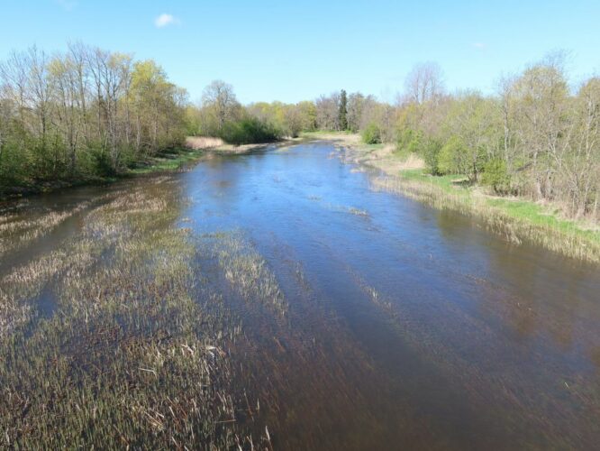 Maakond: Raplamaa Veekogu nimi: Kasari jõgi Pildistamise aeg: 15. mai 2022 Pildistaja: H. Timm Pildistamise koht: Teenuse Asimuut: WSW Veekogude registri viide: https://register.keskkonnaportaal.ee/register/body-of-water/8380509