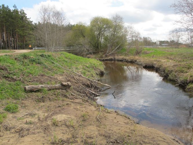 Maakond: Võrumaa Veekogu nimi: Piusa jõgi Pildistamise aeg: 3. mai 2011 Pildistaja: H. Timm Pildistamise koht: sild ülalpool Vastseliinat Veekogude registri viide: https://register.keskkonnaportaal.ee/register/body-of-water/8380135