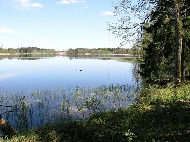 Maakond: Põlvamaa Veekogu nimi: Valgjärv Pildistamise aeg: 17. mai 2007 Pildistaja: H. Timm Pildistamise koht: teadmata