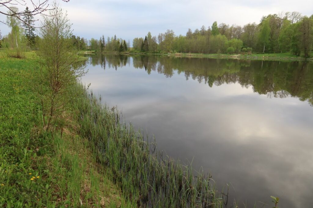 Hellenurme paisjärv 2022