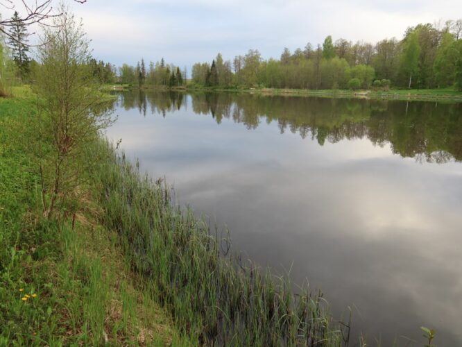 Hellenurme paisjärv 2022