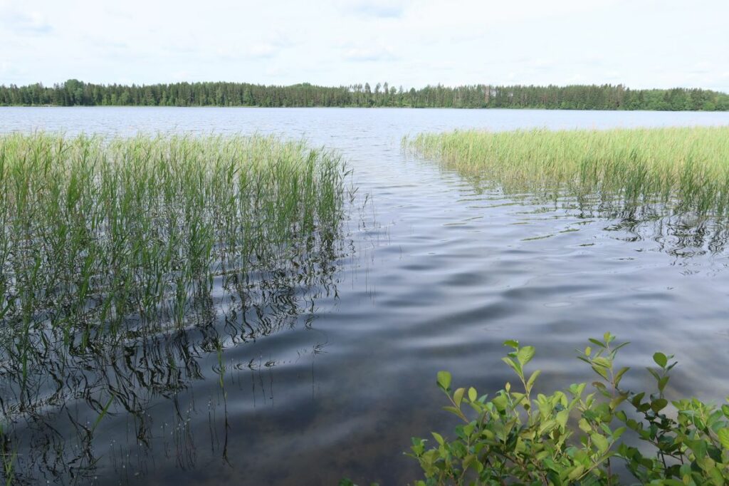 Pullijärv 2022