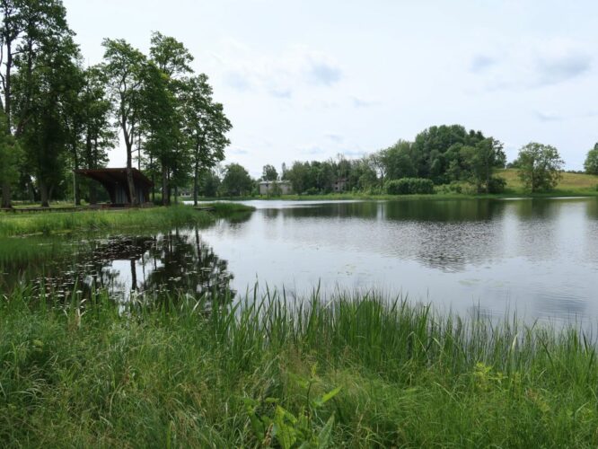 Ruusmäe järv 2022