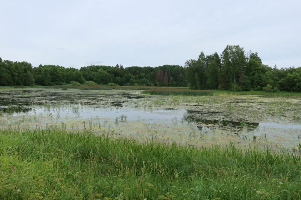 Restu paisjärv 2022