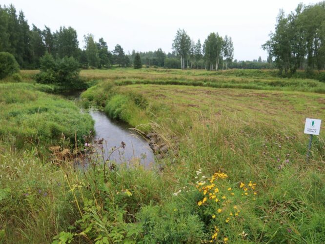 Tagajõgi 2022