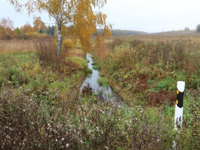 Mäetaguse jõgi 2022