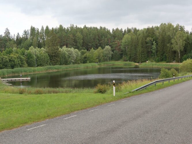 Varstu paisjärv 2024