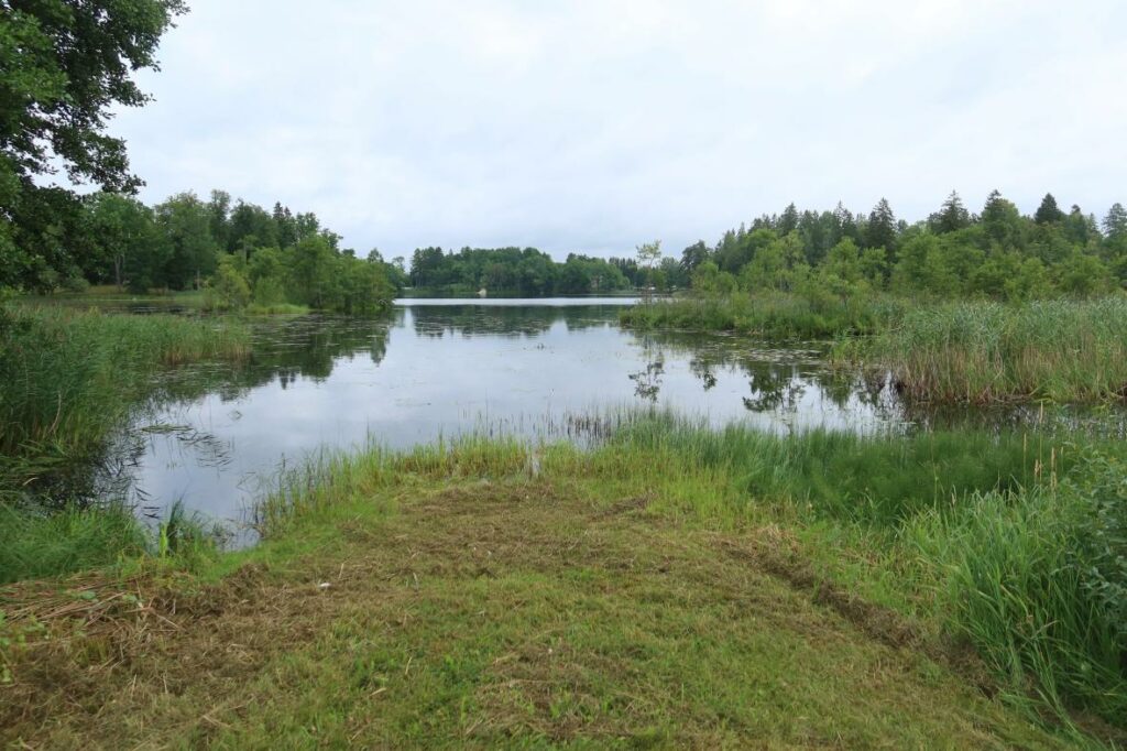 Viitina järv 2024