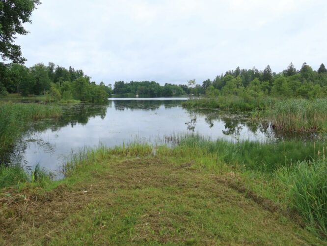 Viitina järv 2024