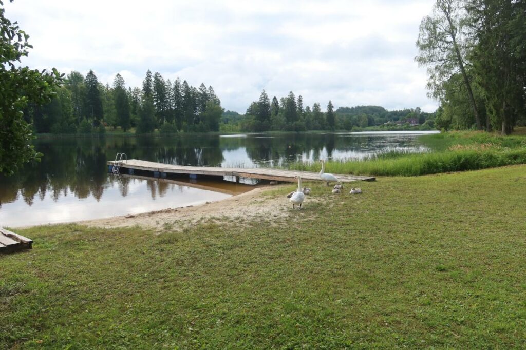 Viitina järv 2024