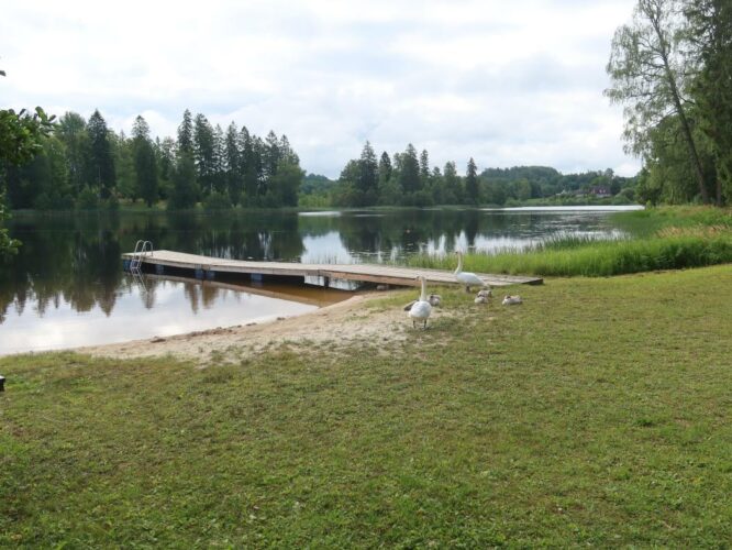 Viitina järv 2024
