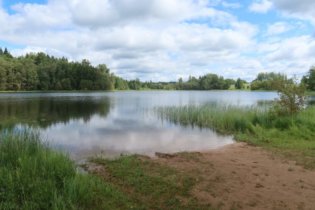 Palujüri järv 2024