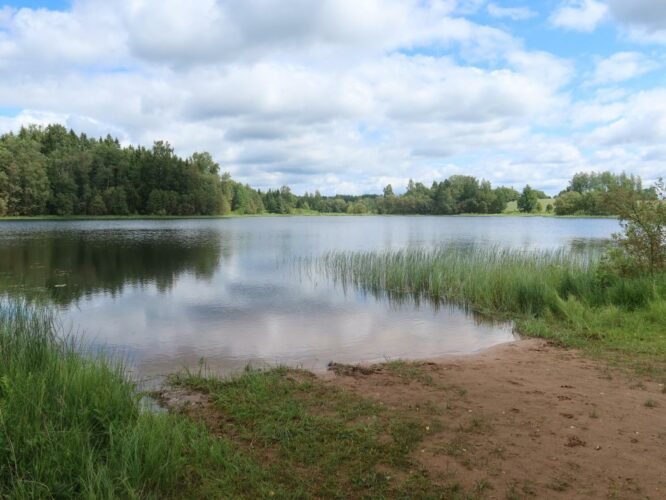 Palujüri järv 2024