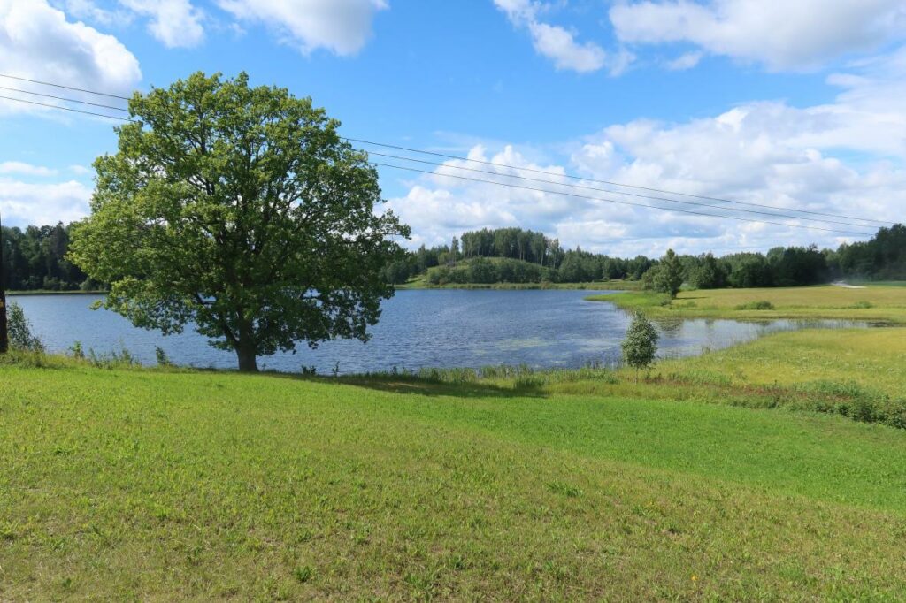 Plaani Külajärv 2024