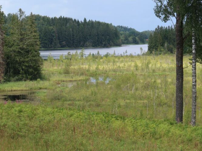Vaskna järv 2024