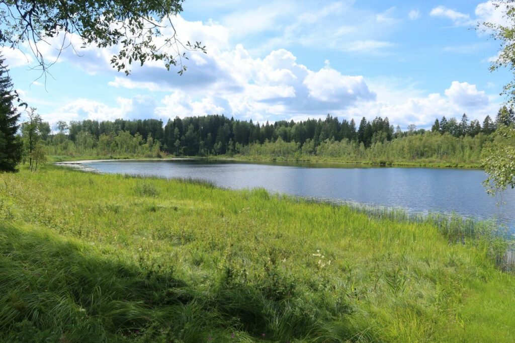 Tuuljärv 2024
