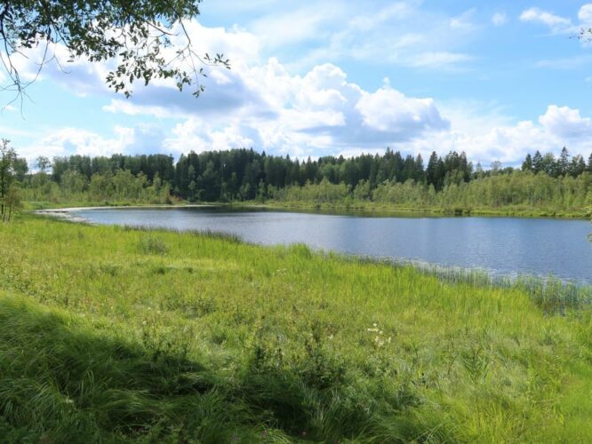 Tuuljärv 2024