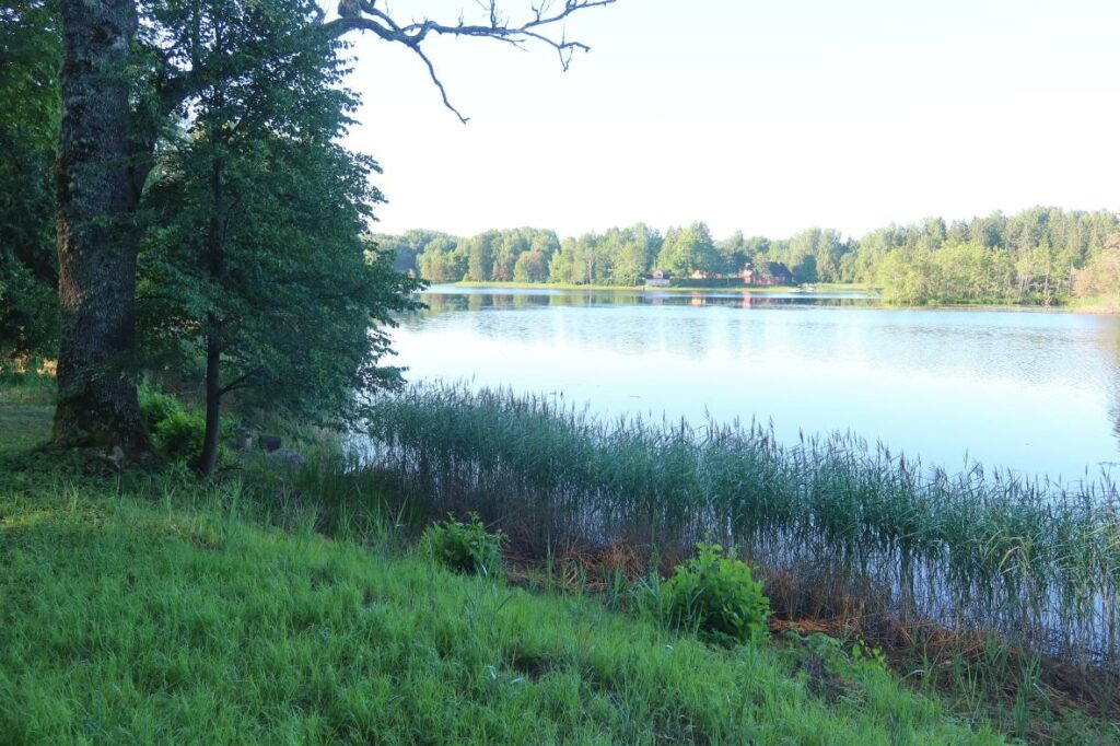 Kavadi järv 2024