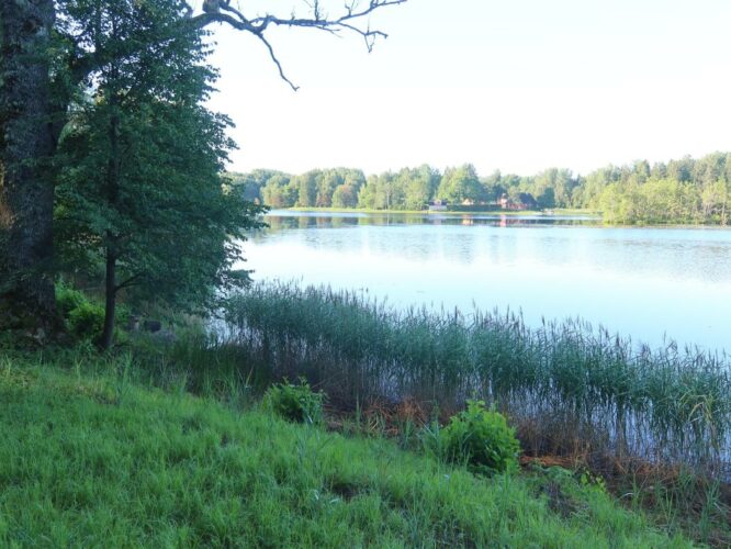 Kavadi järv 2024