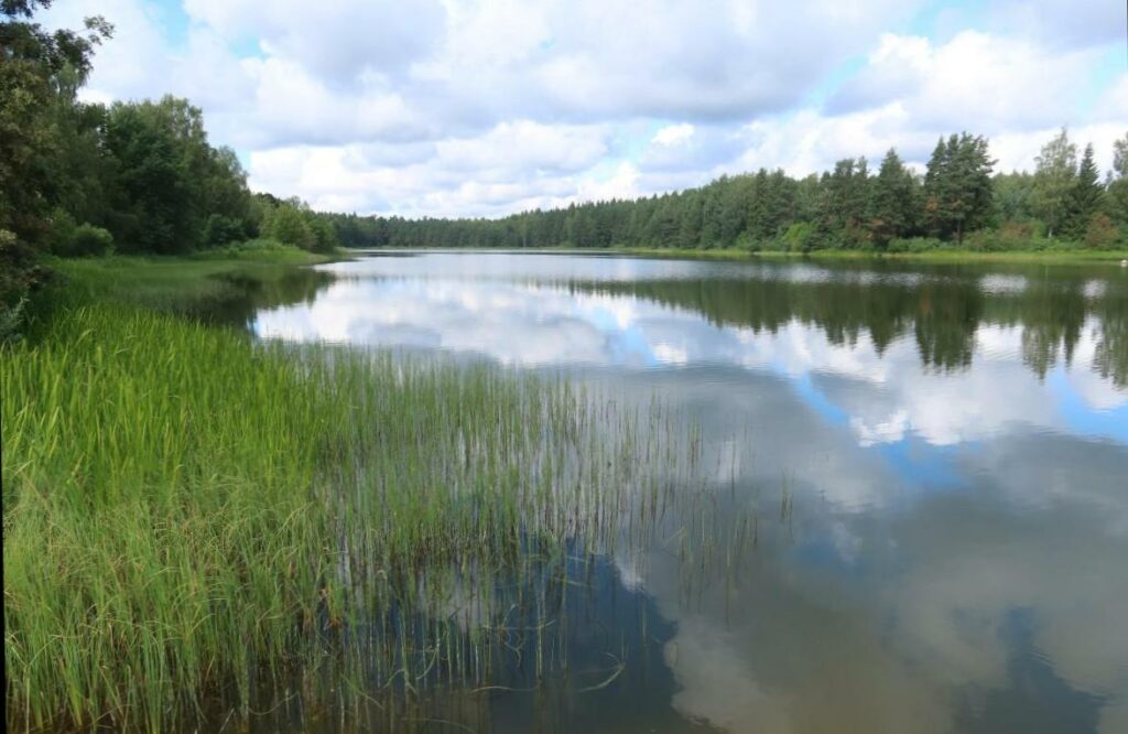 Orava Mõisajärv 2024