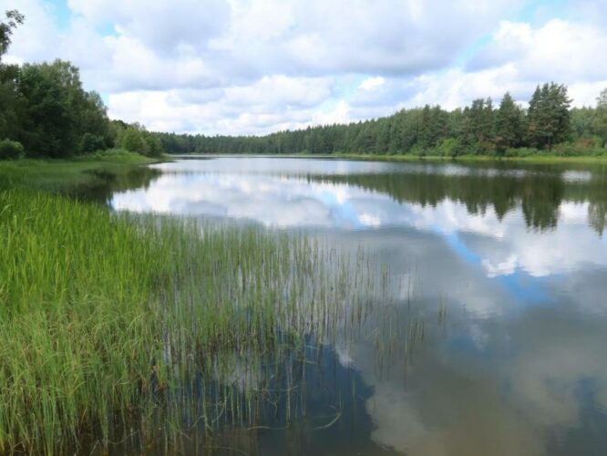 Orava Mõisajärv 2024